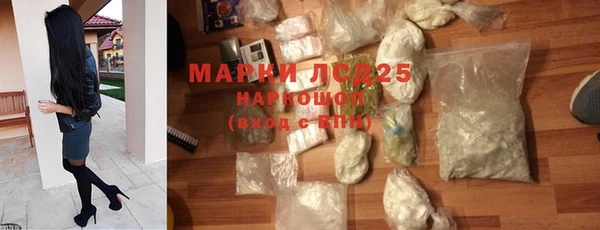 хмурый Няндома