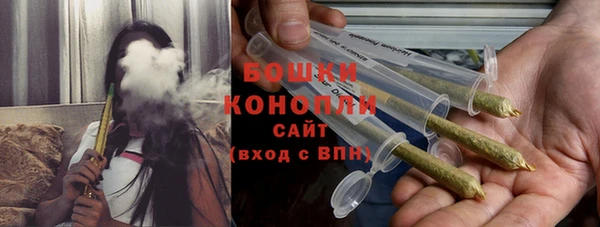 молекула духа Нягань