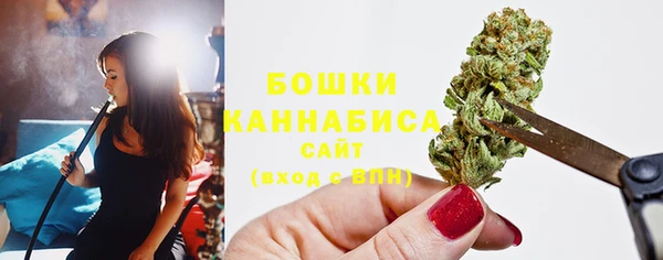 хмурый Няндома