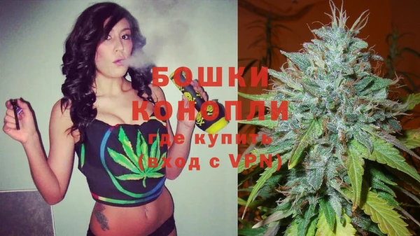 молекула духа Нягань
