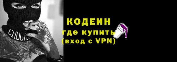 хмурый Няндома