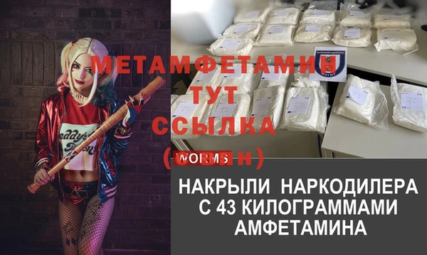 хмурый Няндома