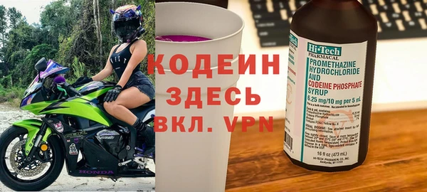 молекула духа Нягань