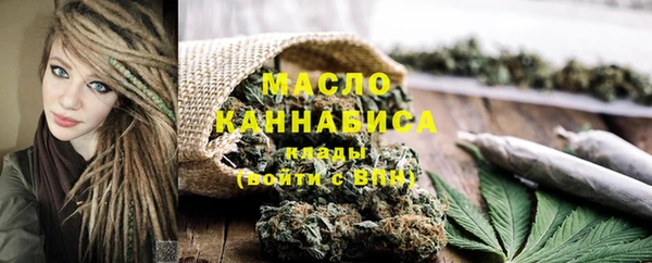 хмурый Няндома