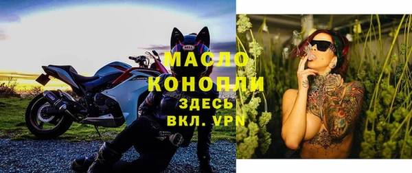 молекула духа Нягань