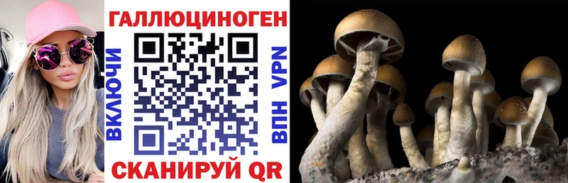 Псилоцибиновые грибы мицелий  Углегорск 
