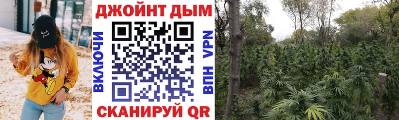 Конопля планчик магазин наркотиков Углегорск